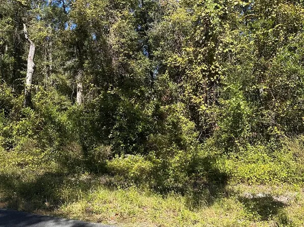  NE 206th Ave, Old Town, FL 32693