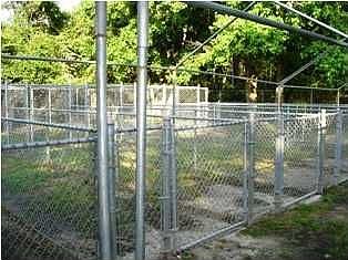 Separate runs for dogs to play outside. Built and ready for summer shade cover