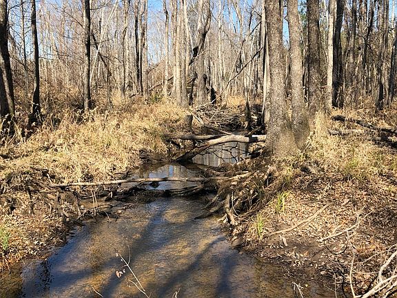 4th image of 1952 Jump N Run Rd