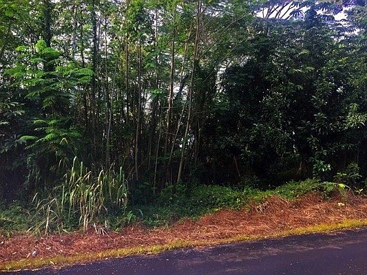 2nd image of Puni Makai Loop S Lot 1412