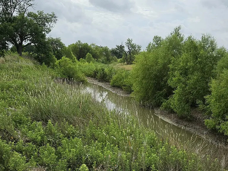 1148 County Road 417 — Photo 13