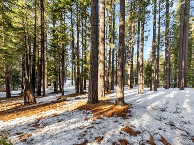 1638 Semat St, South Lake Tahoe, CA, 96150