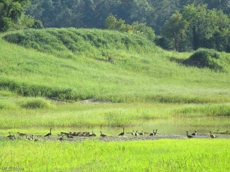2nd image of Dover Zoar Rd NE