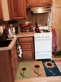 Studio, 230 sqft, $1,295 — Photo 4