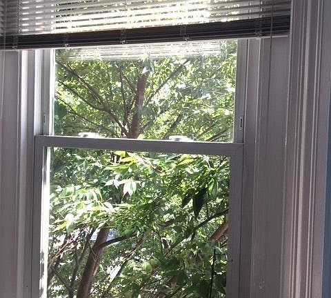 Window View