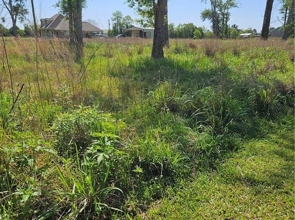 0 Neilson Rd, Kinder, LA 70648