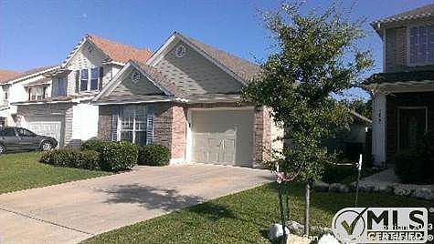 2nd image of 1018 Windmill Palm