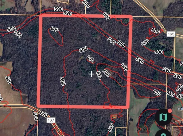 County Road 167, Moulton, AL 35650