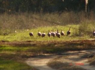 5014 Matties Way, Aiken, SC 29803