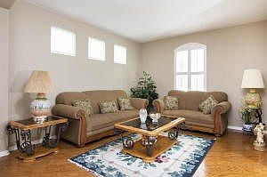 LivingRoom_Hi-Res-10014252