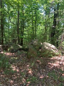 LOT 22 Natures Way Dr, Hays, NC, 28635