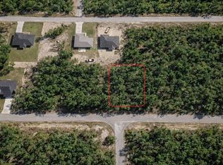 Malauka Pass Crse Lot 10, Ocklawaha, FL 32179