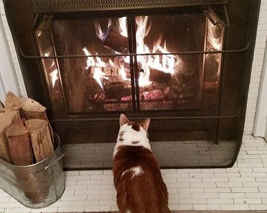 Working fireplace