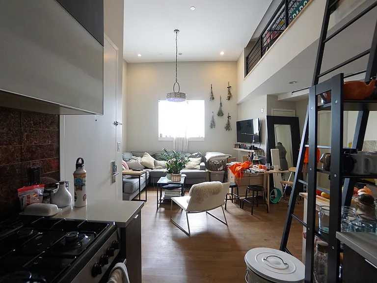 669 Bushwick Ave #PENTHOUSE — Photo 6