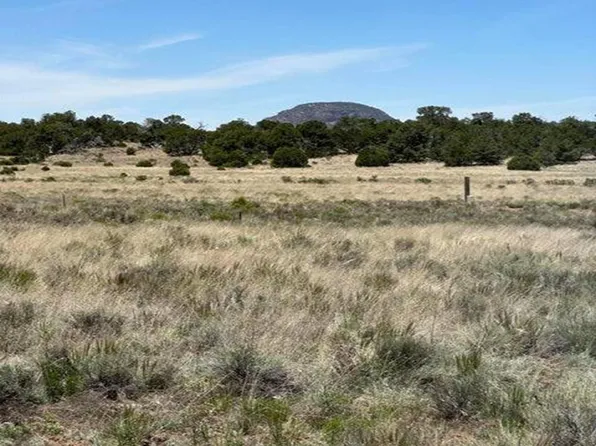 Xx Blue Hills Trl Lot 139, Datil, NM 87821