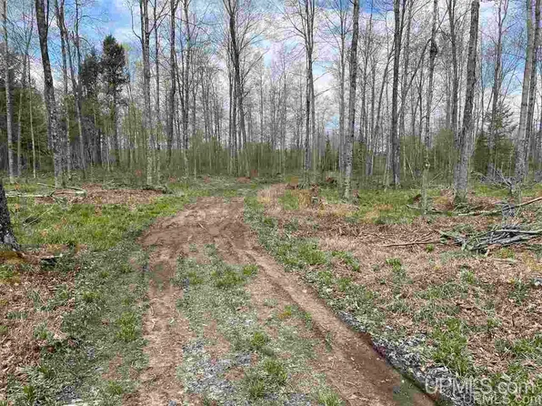 Truax Rd #1, Cornell, MI 49818