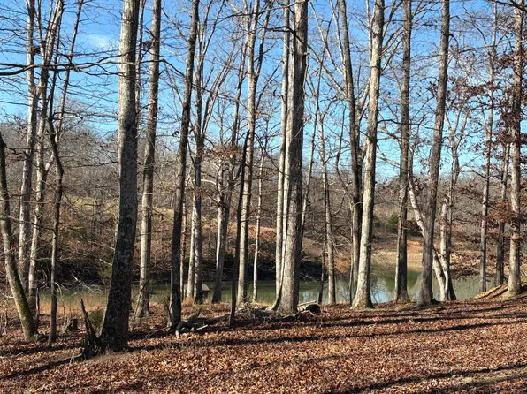 133 Shelton Cemetery Rd, Cumberland Furnace, TN 37051