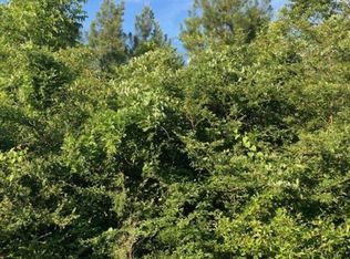 Xx Graham Aultman Rd, Collins, MS 39428