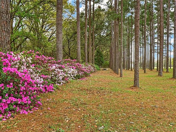 4th image of 11075B Straub Rd