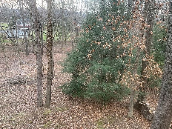 Backyard from upper deck