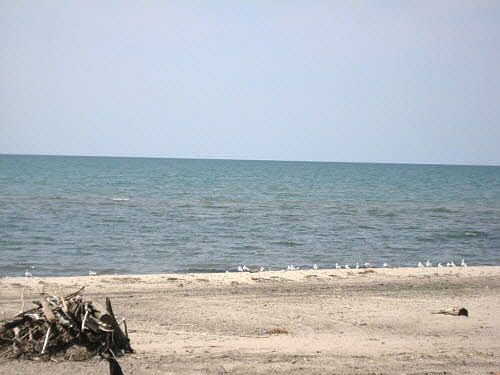 Fantastic sandy beach