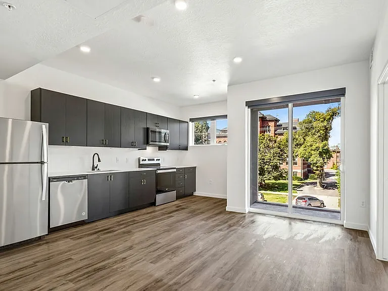 Unit A1: Kitchen/Living Room