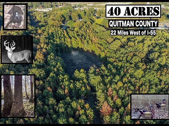 4th image of 0 Howard St