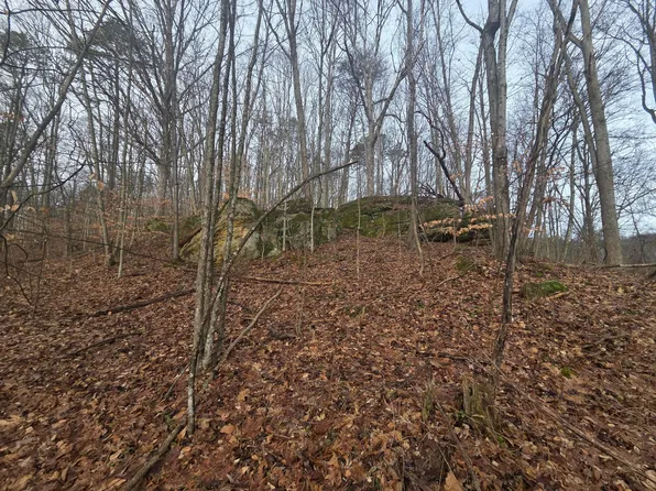 12001 W Buck Run Rd, Rockbridge, OH 43149