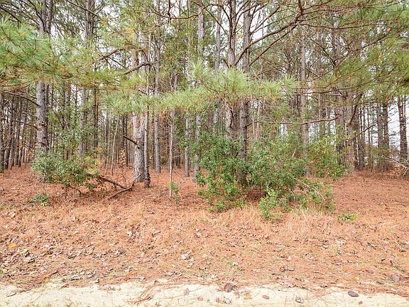 4th image of 3 Bob Lee Ln Lot 3