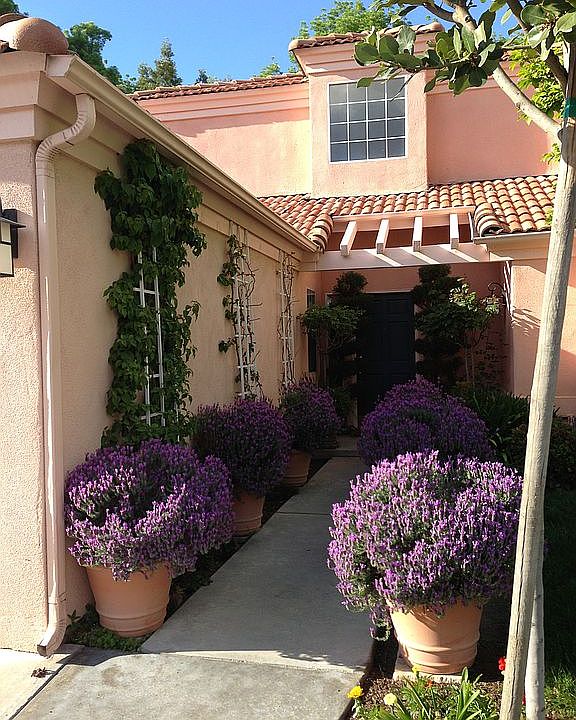 1st image of 1272 E Loma Linda Ave