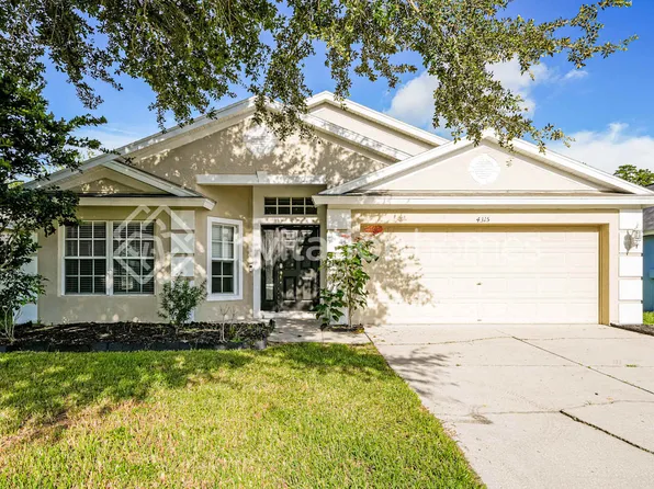 4315 Marchmont Blvd, Land O Lakes, FL 34638
