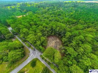 89 Kings Rd, Quinby, SC 29506