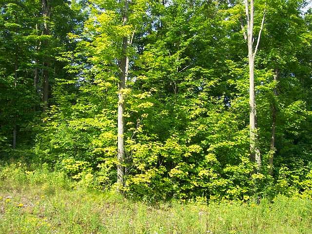 1st image of LOT 2 Lot White Oak Lane Lot # 2 White Oak Ln #2