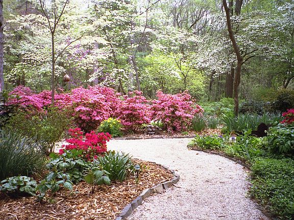 Typical back yard path
