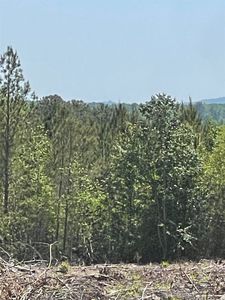 0 County Road 1718, Holly Pond, AL, 35083