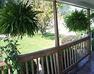 1st image of 815 Allison Ave