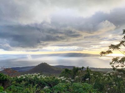 0 Ulupalakua Rd, Kula, HI, 96790