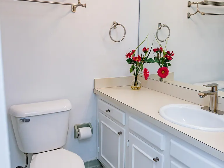 817 Botetourt Gdns — Photo 52