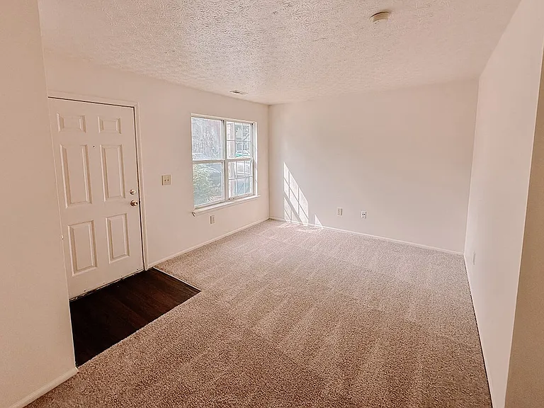 Sunlit Carpeted Living Room