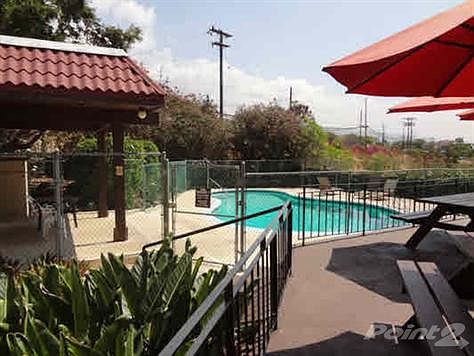 Pool and patio area
