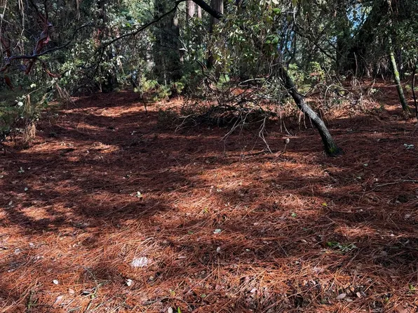 19313 Ridge Rd, Pine Grove, CA 95665