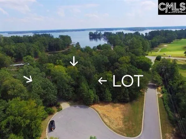 304 Edgewood Ct, Chapin, SC 29036