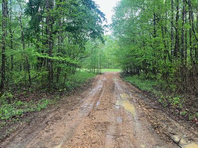 0 Birdsong Rd LOT 1, Holladay, TN, 38341