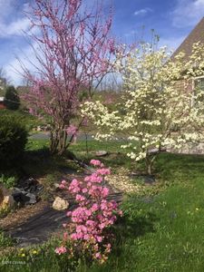 278 Holly Rd, Paxinos, PA, 17860
