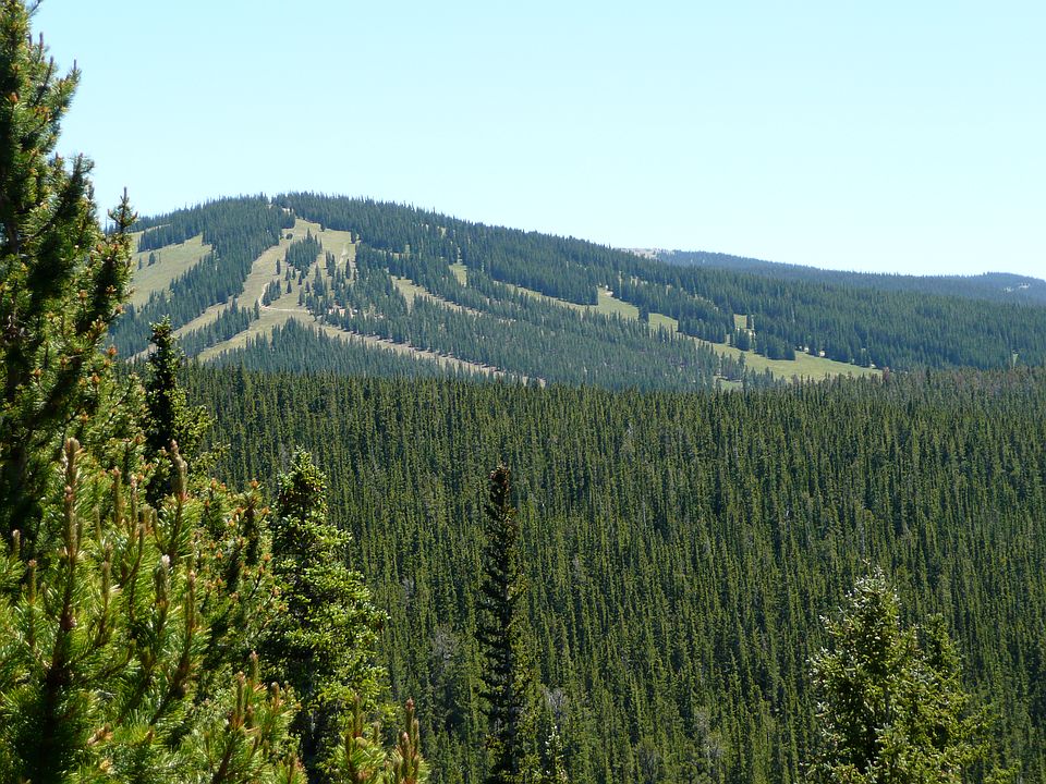 2nd image of Tbd Forest Service Rd #731