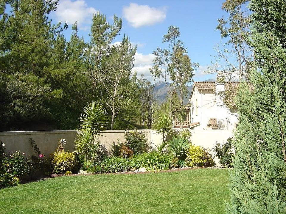 Beautiful backyard