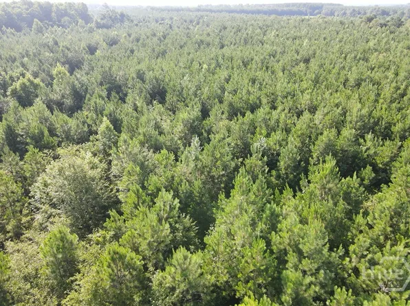 0 Indian Trail Road, Sylvania, GA 30467