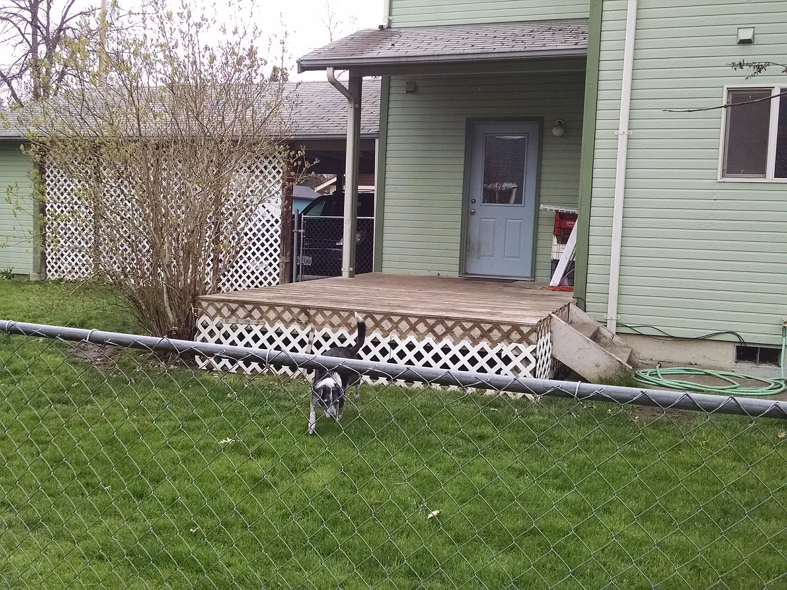 3 bed, 1.5 bath, 1200 sqft, $2,100 — Photo 3