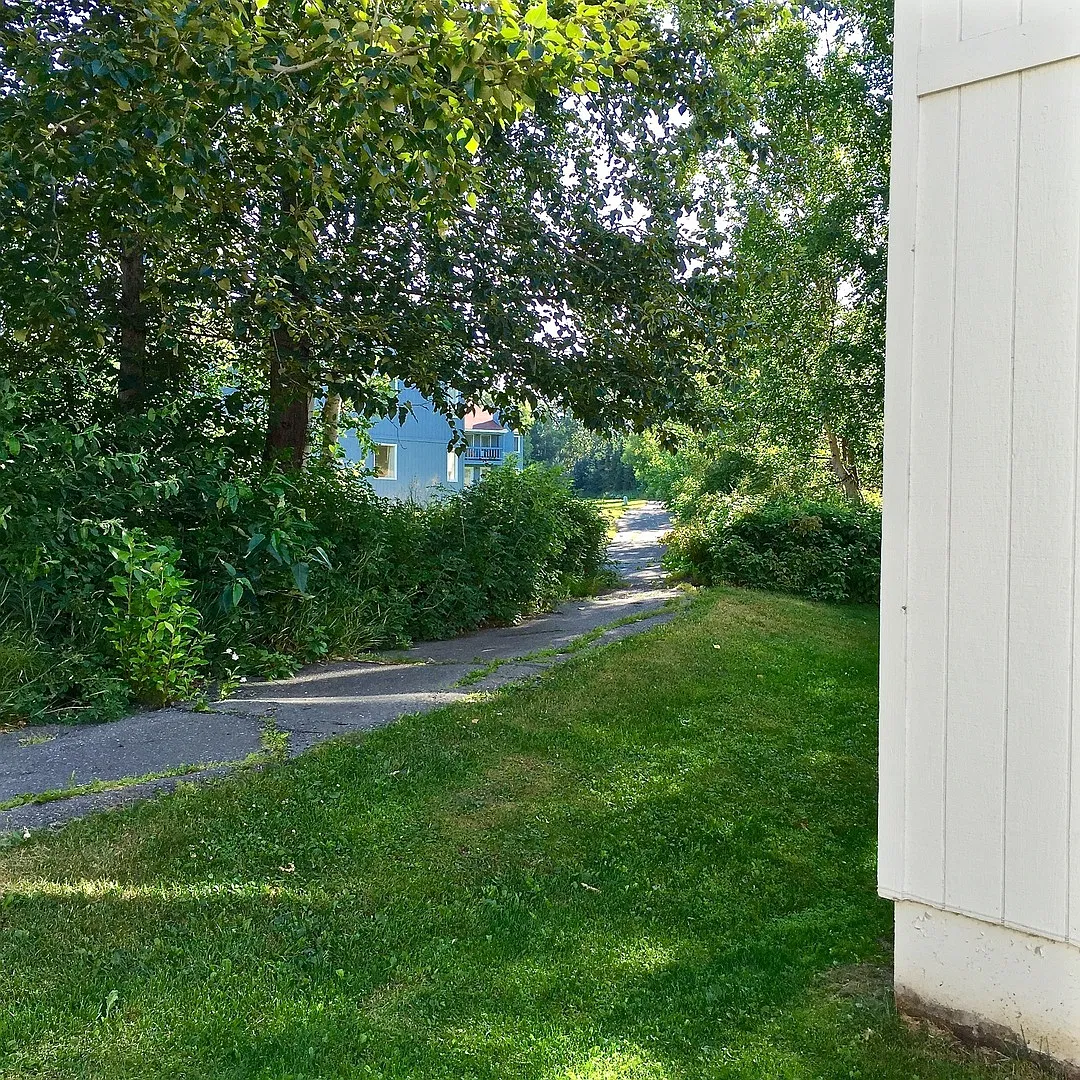 South Anchorage beautiful ground level 2bed with washer & dryer — Photo 3