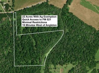 LOT County Road 30 S, Angleton, TX 77515